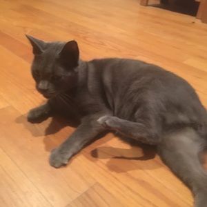 Meet your Posher, Katie